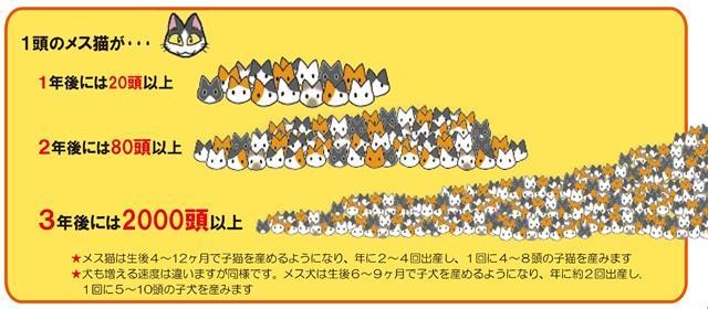 野良猫の増加推移