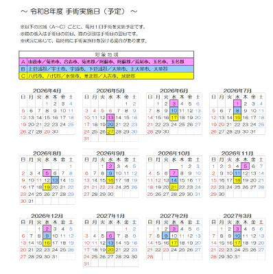手術日程